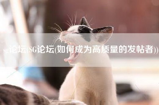 sg论坛(SG论坛(如何成为高质量的发帖者))