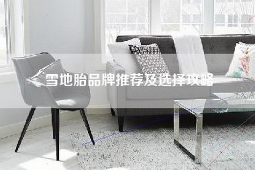 雪地胎品牌推荐及选择攻略