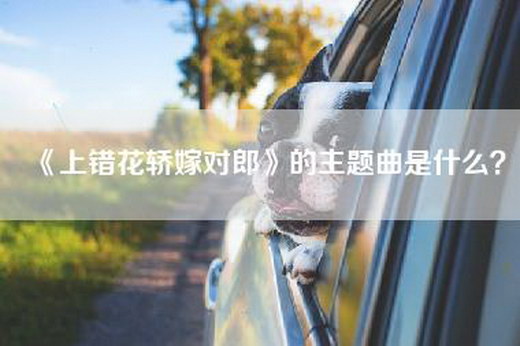 《上错花轿嫁对郎》的主题曲是什么？