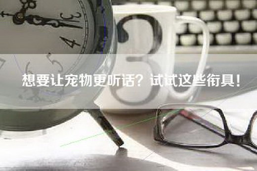 想要让宠物更听话？试试这些衔具！