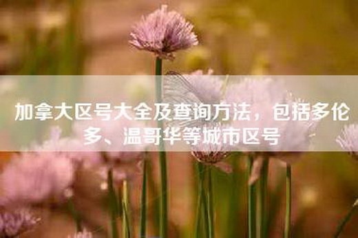 加拿大区号大全及查询方法，包括多伦多、温哥华等城市区号