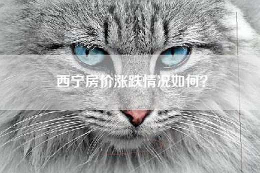 西宁房价涨跌情况如何？
