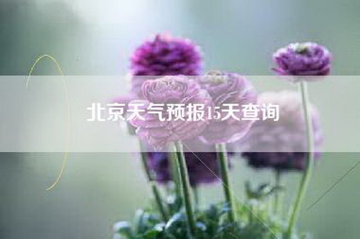 北京天气预报15天查询
