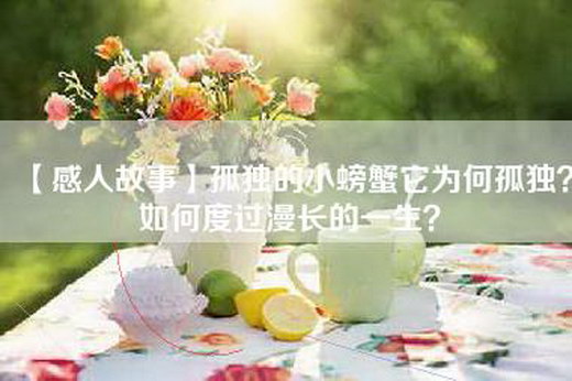 【感人故事】孤独的小螃蟹它为何孤独？如何度过漫长的一生？