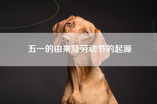 五一的由来及劳动节的起源