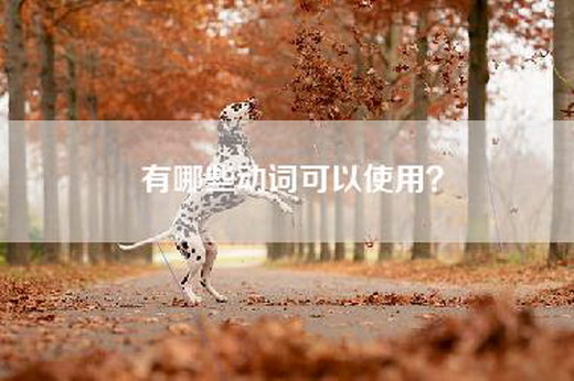 有哪些动词可以使用？