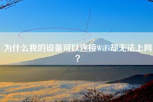 为什么我的设备可以连接WiFi却无法上网？