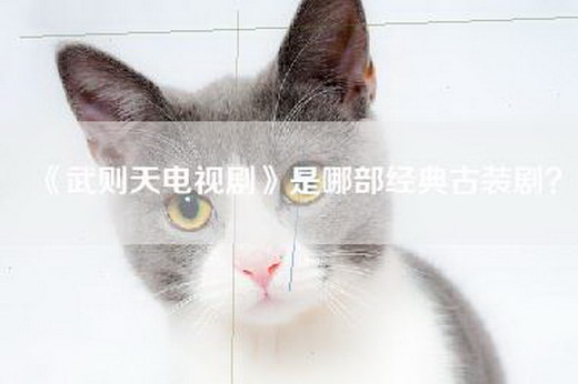 《武则天电视剧》是哪部经典古装剧？