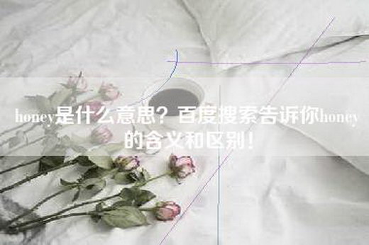 honey是什么意思？百度搜索告诉你honey的含义和区别！