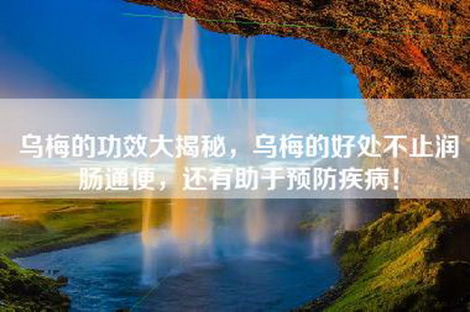 乌梅的功效大揭秘，乌梅的好处不止润肠通便，还有助于预防疾病！
