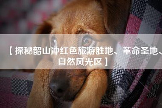 【探秘韶山冲红色旅游胜地、革命圣地、自然风光区】