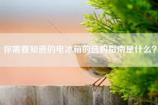 你需要知道的电冰箱的选购指南是什么？