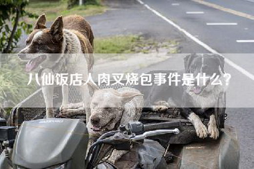 八仙饭店人肉叉烧包事件是什么？