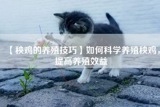 【秧鸡的养殖技巧】如何科学养殖秧鸡，提高养殖效益