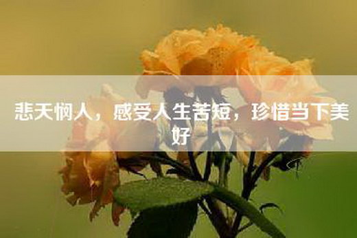 悲天悯人，感受人生苦短，珍惜当下美好