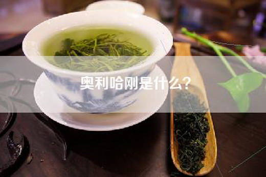奥利哈刚是什么？