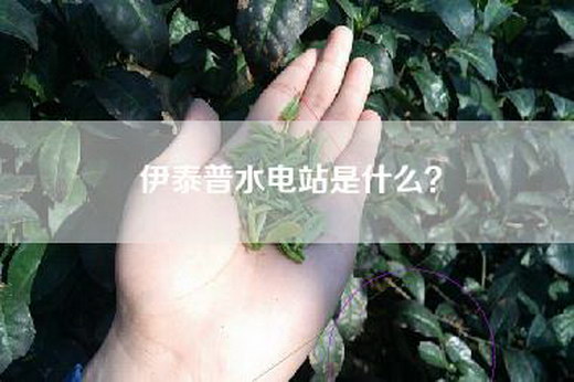 伊泰普水电站是什么？