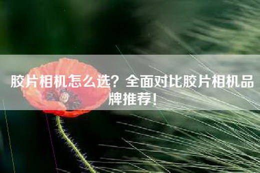 胶片相机怎么选？全面对比胶片相机品牌推荐！