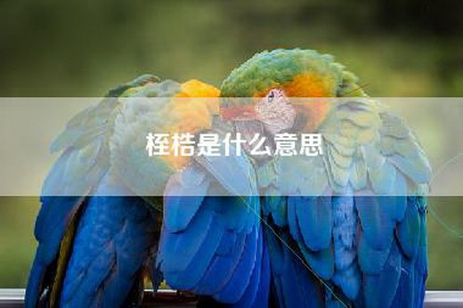 桎梏是什么意思
