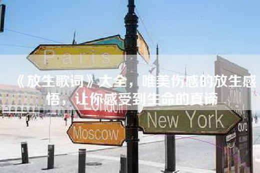 《放生歌词》大全，唯美伤感的放生感悟，让你感受到生命的真谛