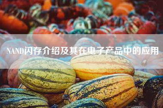 NAND闪存介绍及其在电子产品中的应用