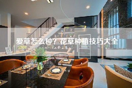 爱草怎么种？花草种植技巧大全
