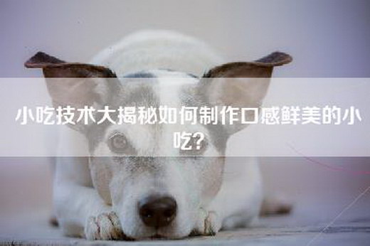 小吃技术大揭秘如何制作口感鲜美的小吃？