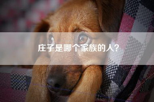 庄子是哪个家族的人？