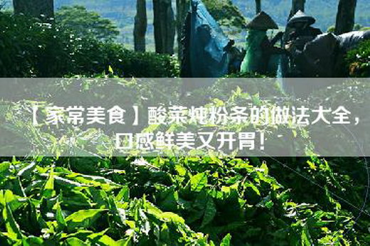 【家常美食】酸菜炖粉条的做法大全，口感鲜美又开胃！