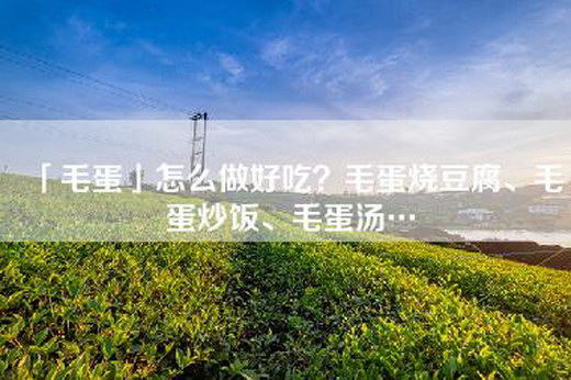 「毛蛋」怎么做好吃？毛蛋烧豆腐、毛蛋炒饭、毛蛋汤…