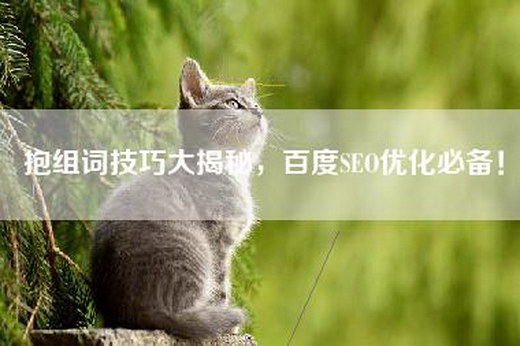 抱组词技巧大揭秘，百度SEO优化必备！