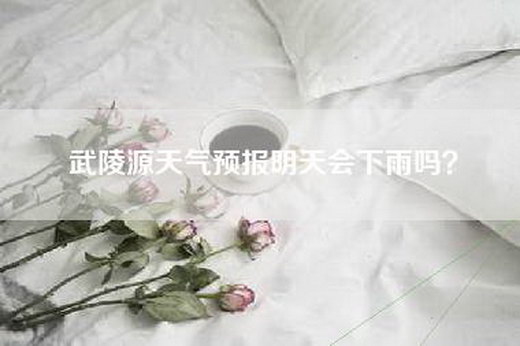 武陵源天气预报明天会下雨吗？