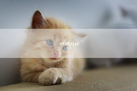 oversize