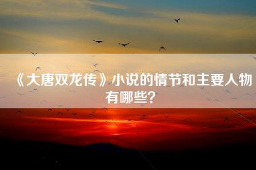 《大唐双龙传》小说的情节和主要人物有哪些？