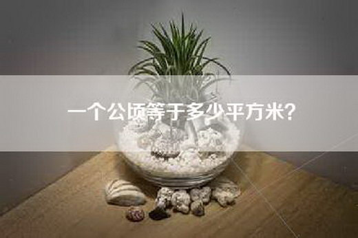 一个公顷等于多少平方米？