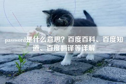 password是什么意思？百度百科、百度知道、百度翻译等详解
