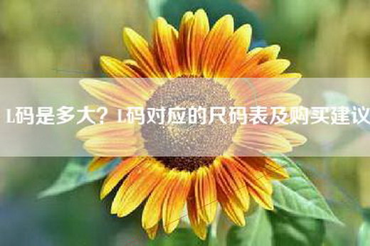 L码是多大？L码对应的尺码表及购买建议