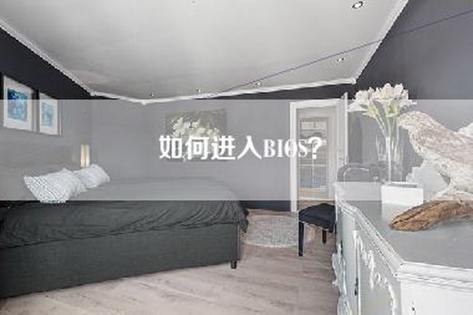 如何进入BIOS？
