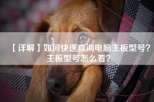 【详解】如何快速查询电脑主板型号？主板型号怎么看？