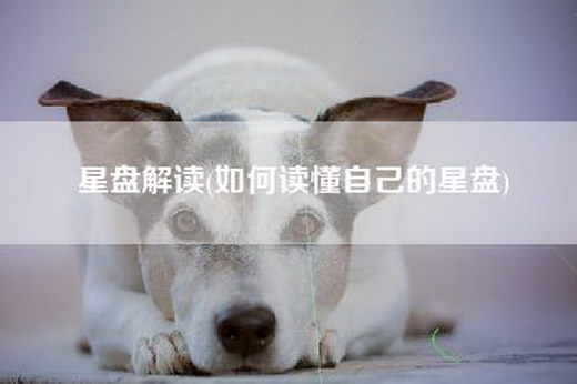 星盘解读(如何读懂自己的星盘)