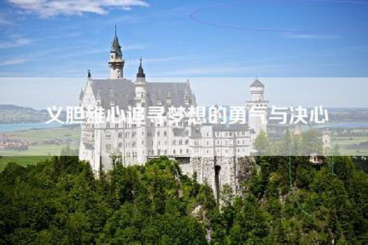 义胆雄心追寻梦想的勇气与决心