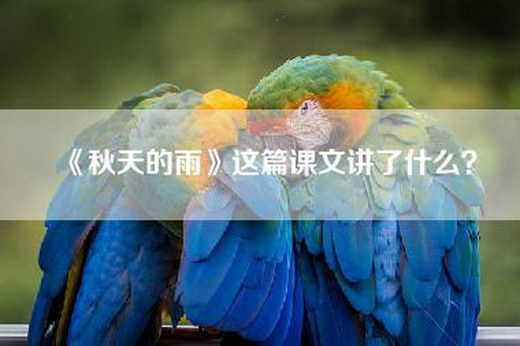 《秋天的雨》这篇课文讲了什么？