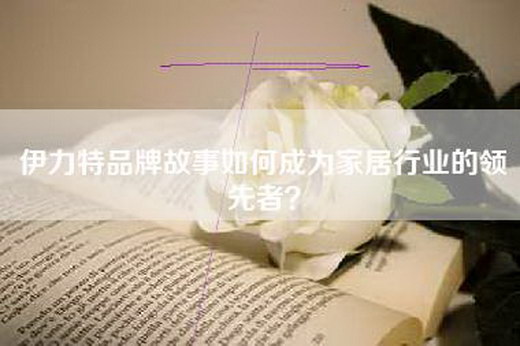 伊力特品牌故事如何成为家居行业的领先者？