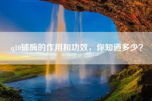 q10辅酶的作用和功效，你知道多少？