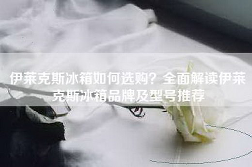 伊莱克斯冰箱如何选购？全面解读伊莱克斯冰箱品牌及型号推荐