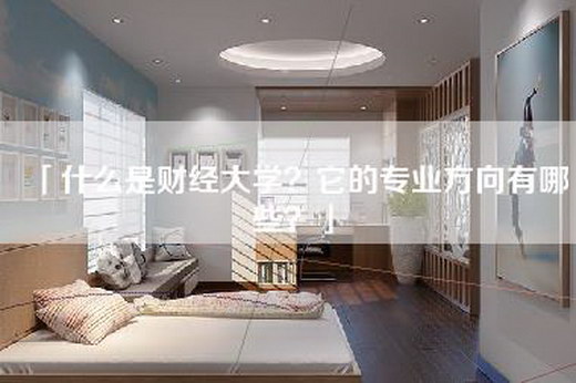 「什么是财经大学？它的专业方向有哪些？」
