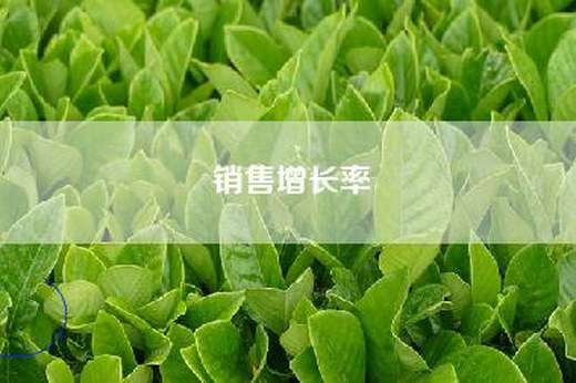 销售增长率