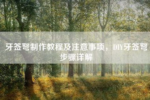 牙签弩制作教程及注意事项，DIY牙签弩步骤详解