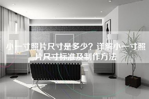 小一寸照片尺寸是多少？详解小一寸照片尺寸标准及制作方法