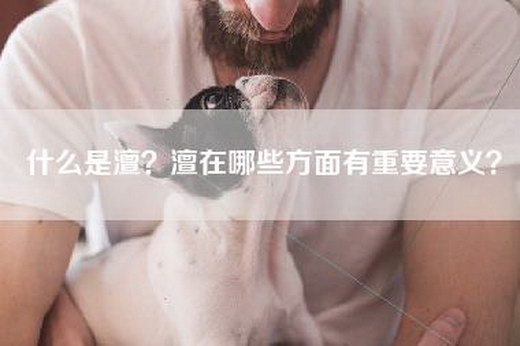 什么是澶？澶在哪些方面有重要意义？